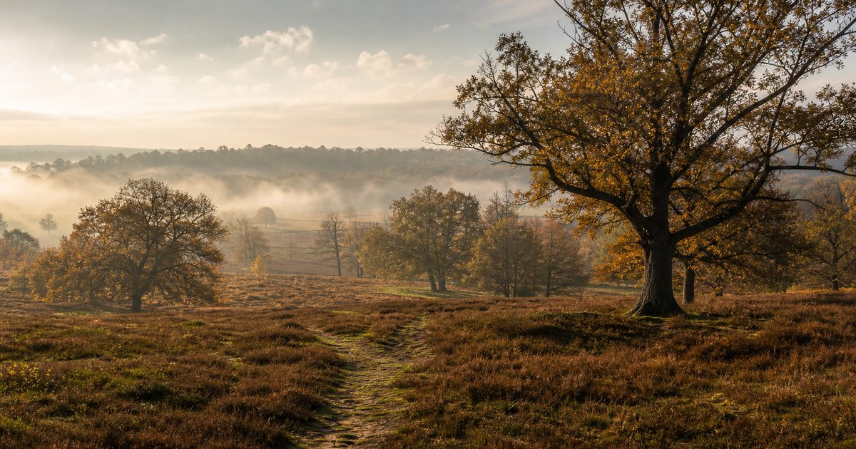 Kroondomein Het Loo: hoe groot is het gebied en waarom is het zo bijzonder?