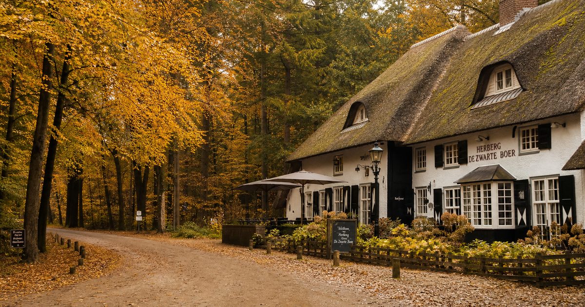 Restaurant De Veluwe en andere eetadressen in de streek: waar eet je goed na een dag buiten?