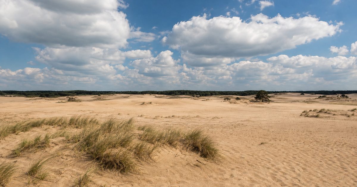 Kaart Nederland en de Veluwe: waar ligt de streek precies tussen provincies, rivieren en randmeren?