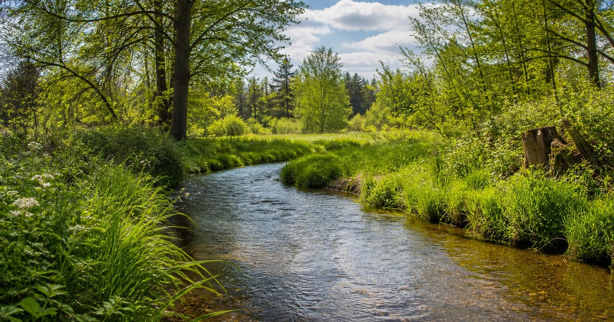 Waterschap Vallei en Veluwe: wat doet het in deze regio en waarom is dat op de Veluwe zo belangrijk?