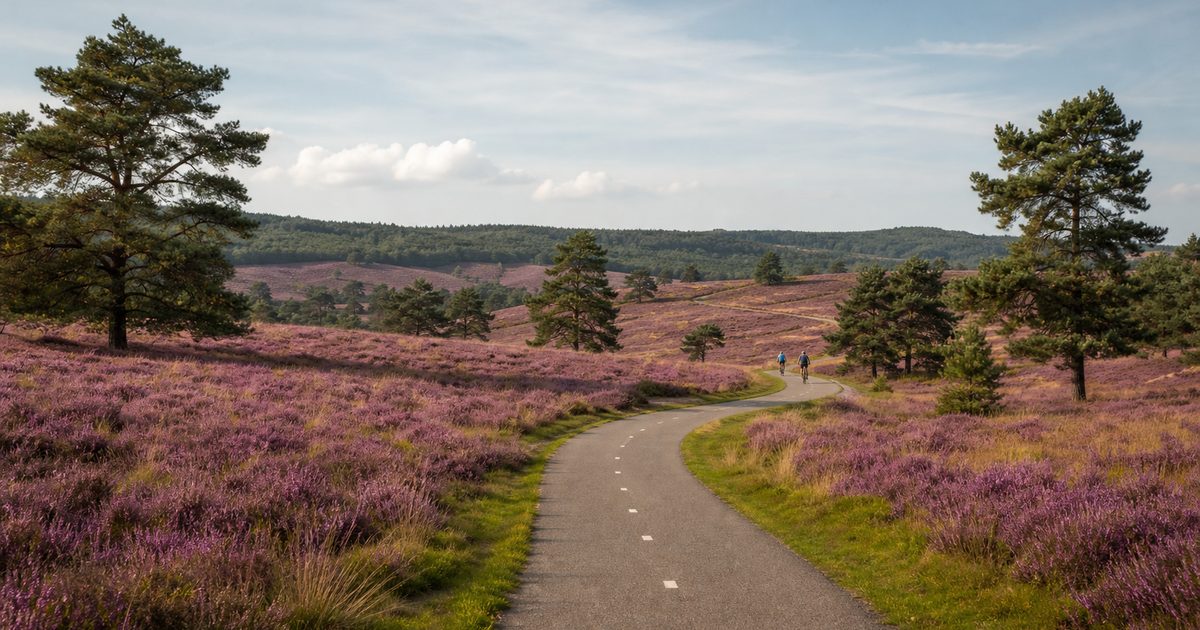 Fietsen over de Veluwe: welke routes laten het landschap echt goed zien?