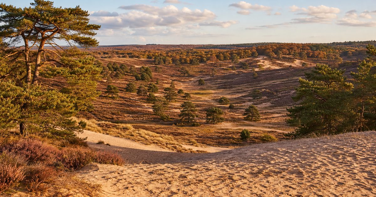 Stuwwallen op de Veluwe: waar liggen ze en wat merk je ervan in het landschap?