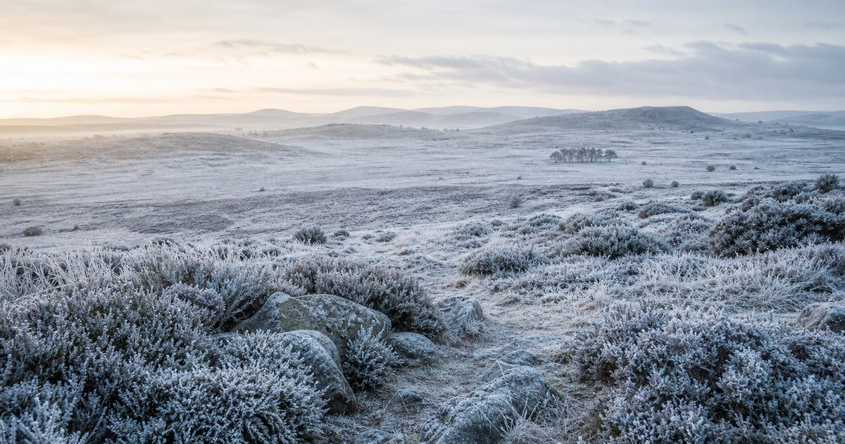 De Veluwe in de ijstijd: hoe vormden sneeuw, wind en smeltwater het gebied?