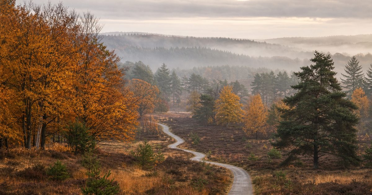 Nieuws Veluwe week 20 – 11 mei 2026 tot en met 17 mei 2026