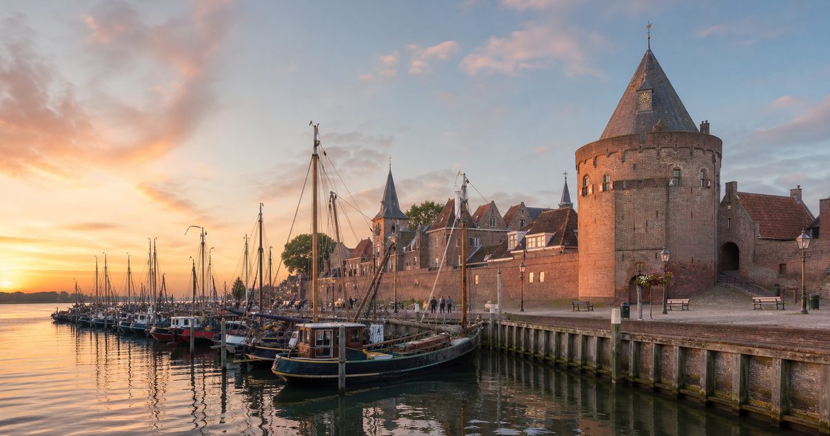 De Hanze en de Veluwe: hoe profiteerden Harderwijk, Elburg en Hattem van handel?
