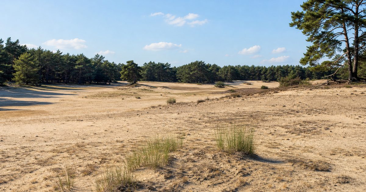 Het Wekeromse Zand: hoe ontstond dit gebied en wat leeft er nu?