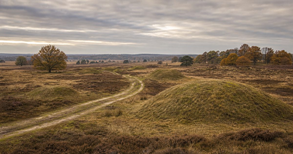 De Veluwe in de Middeleeuwen: hoe leefden boeren, jagers en kloosters hier samen?