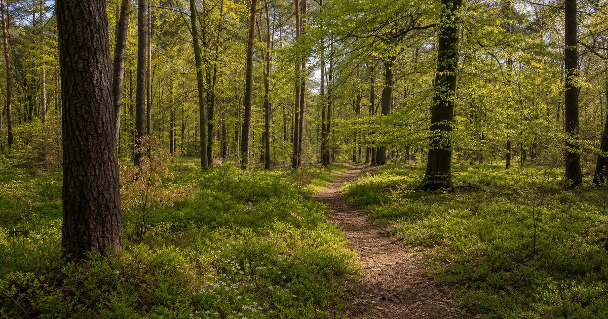 Nieuws Veluwe week 18