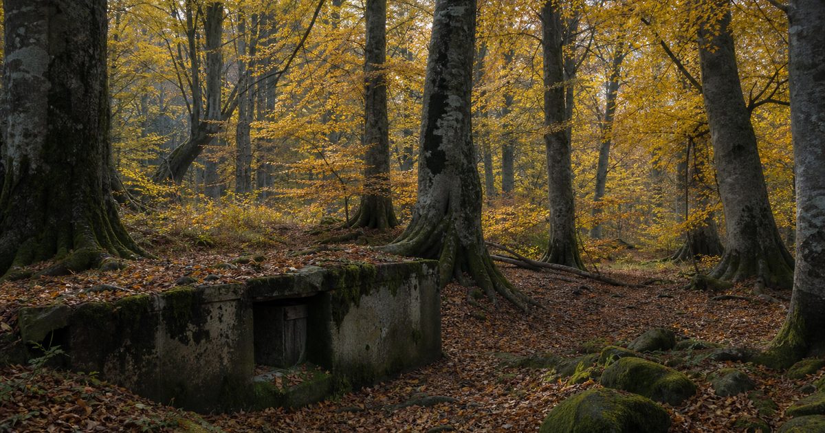 Wat is het hoogste punt van de Veluwe en waar ligt het precies?