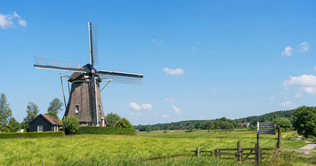 Werken in Gelderland vanaf de Veluwe: in welke plaatsen en sectoren liggen de meeste kansen?